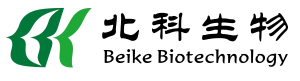 beikeblack_logo